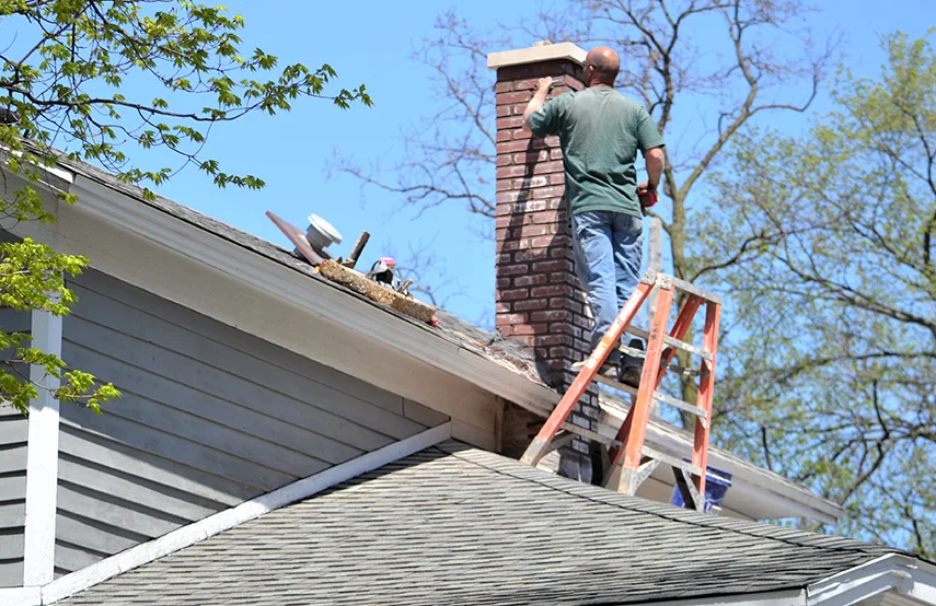 Chimney & Fireplace Inspections Services in Allen Park, MI